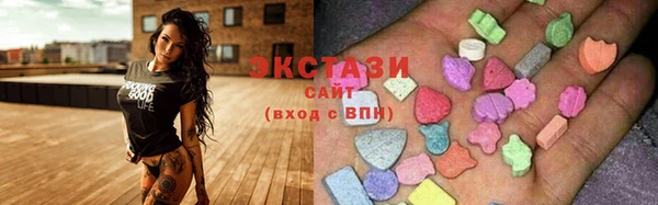 мдпв Рославль