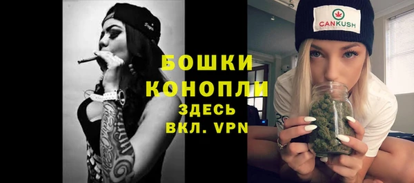 дмт Вяземский