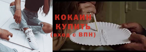 мдпв Рославль