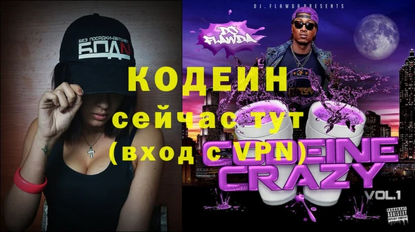 мдпв Рославль