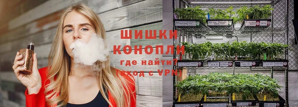 мдпв Рославль