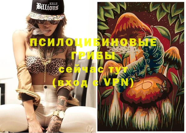 герыч Вязьма