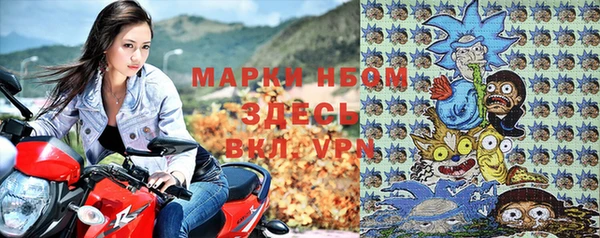 ПСИЛОЦИБИНОВЫЕ ГРИБЫ Вязники