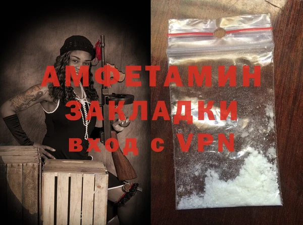 мдпв Рославль