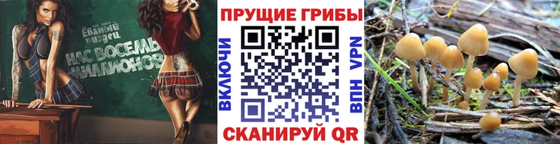 площадка как зайти  Галич  Галлюциногенные грибы прущие грибы  наркошоп  blacksprut рабочий сайт 